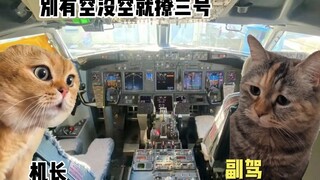 The plane is running in the sky and the Accord is chasing on the ground