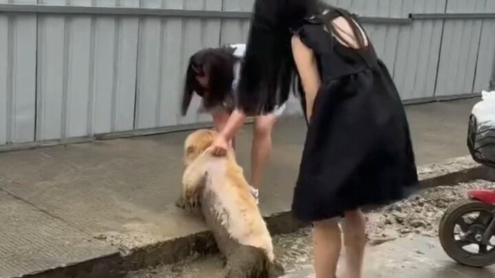 “I really have to admit defeat when it comes to you.”