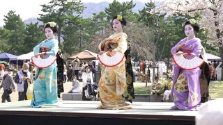 祇园东舞妓さん 春の舞