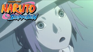 Naruto Shippuden - Ending 14 | Transient Fireworks