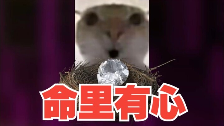 The most thrilling heart-pounding version of Delta Force: Hawk Ops—hit every target, and nothing can