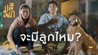 เลี้ยงหมาเยอะ จะมีลูกไหม ? Q&A 2 - มหึหมา EP45