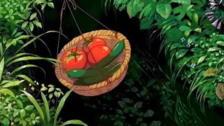 Aesthetic Ghibli Life ❤️