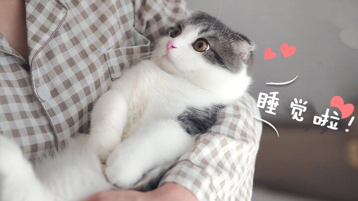 What’s it like to have a little kitten that can keep you company while you sleep?