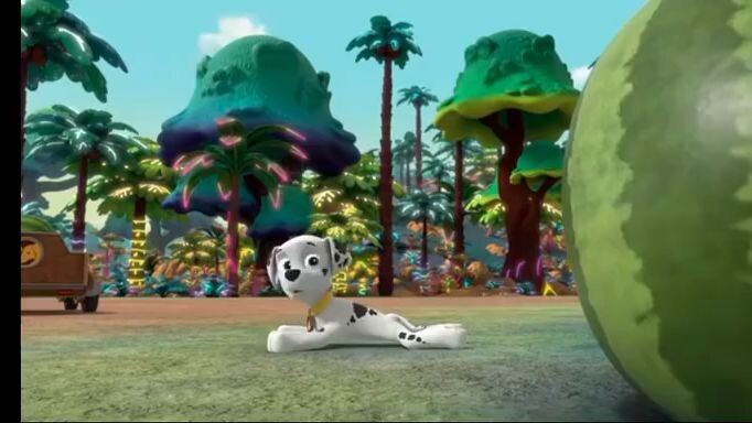 paw patrol Musim 10 Episode 6 dan Episode 7 Bahasa Indonesia