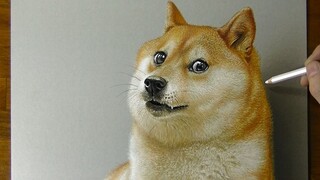 How to draw a real dog and its eyes