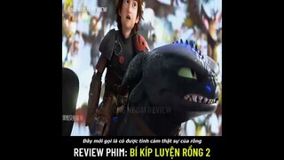 Review phim: Bí kíp luyện rồng 2 (How to Train Your Dragon 2)