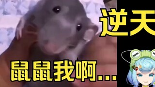 【Tian Dou】A clip of the amazing dubbing, Mouse...😅