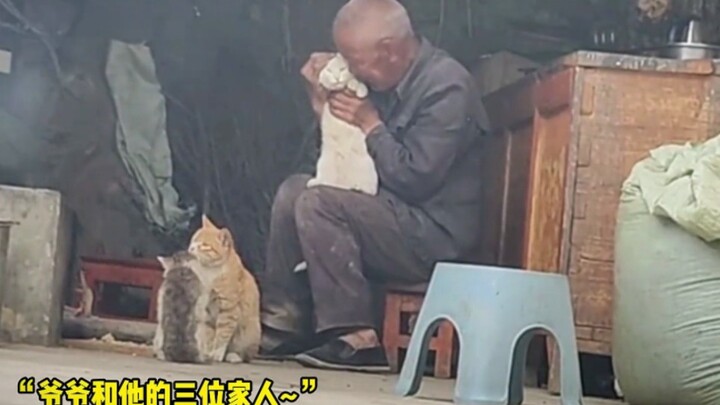 “Dunia ini berantakan, si kucing sibuk menjahit dan memperbaikinya～”