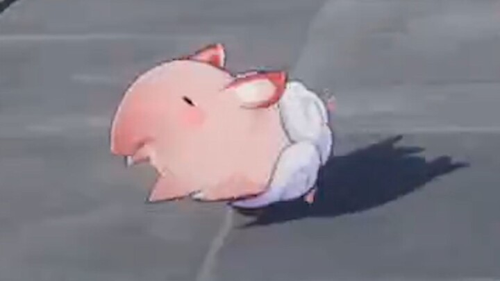 Two pigs walking by the ground