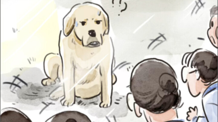 Today the school took us to the zoo to see adorable raccoons!