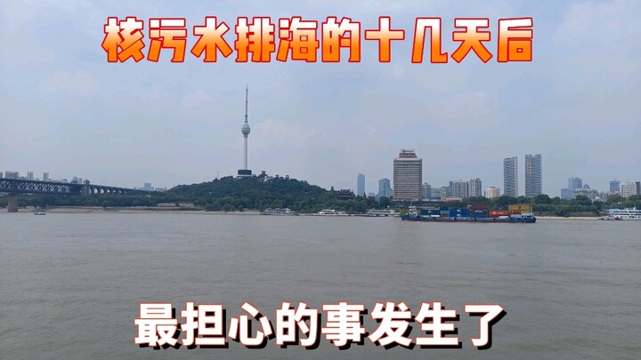 Just over ten days after the release of nuclear wastewater into the sea, the worst-case scenario has