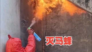 Nhìn họ diệt ong vò vẽ thật là thư giãn