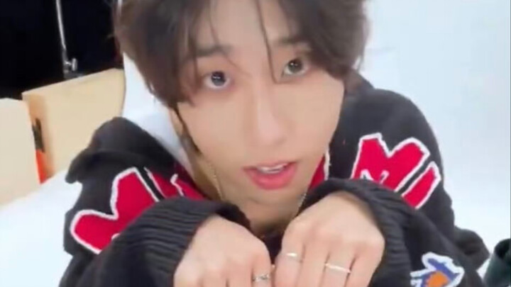 Archiving my three favorite house mouse chats