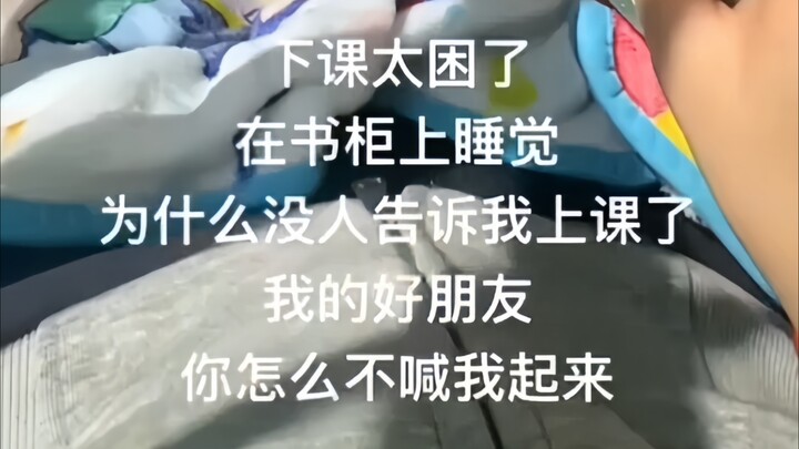 一觉睡醒：天塌了🥹
