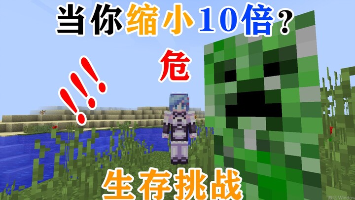 MC: What If Your Body Shrinks 10x? How Long Can You Survive? Survival Challenge! Minecraft