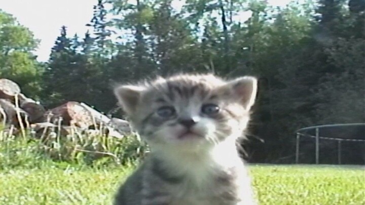 What are guys even thinking when they zone out?