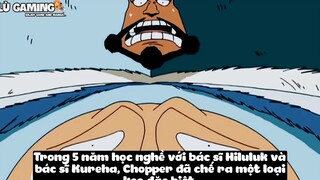 Top 7 Trái Zoan Mạnh Nhất One Piece p3