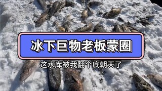 老板直接蒙圈 伤敌一千自损一万