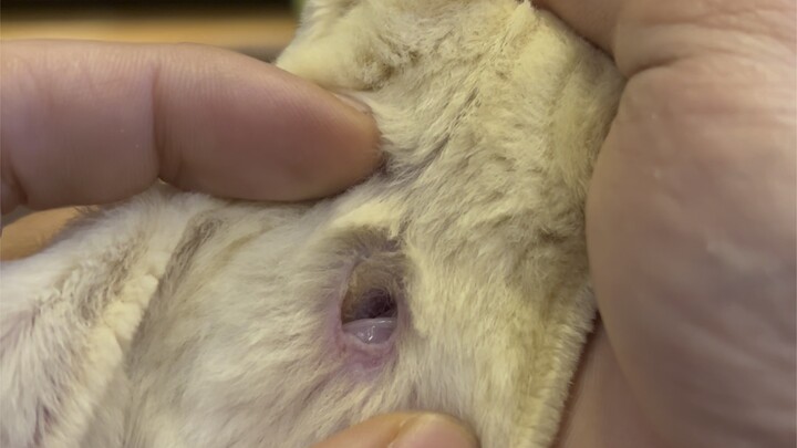 Countdown to baby coming out of bag