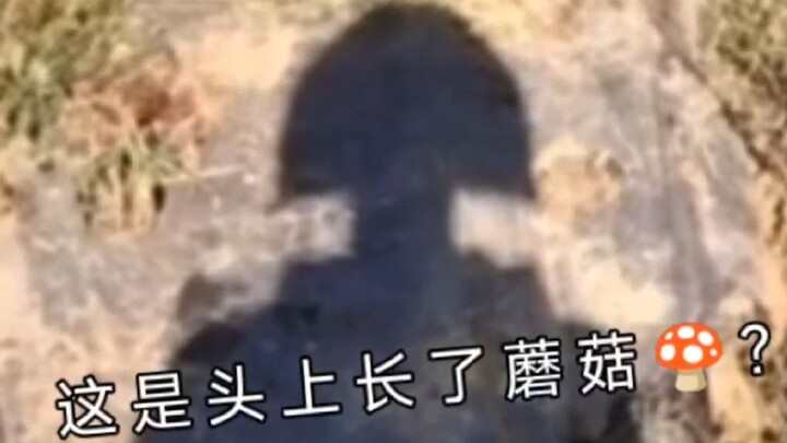 “No one walks out of the barbershop smiling.”