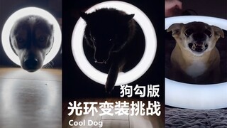 【狗勾版】光环变装挑战