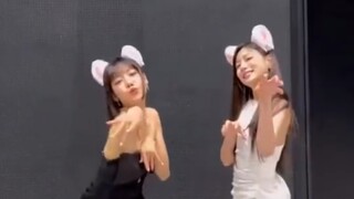 【Apink】CHOBOM "Copycat" Kim Namjoo and Oh Ha Young's mirrored dance challenge