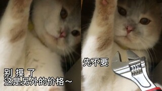 Cat Repairman, but Japanese version