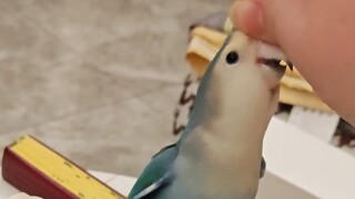 Tôi rất phấn khích và muốn mua nó lần nữa!!