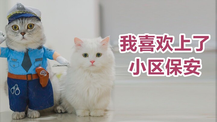 “怎么能在拥有爱情的同时，拒绝受伤呢…”