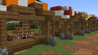 My new Minecraft Server (Read the description)