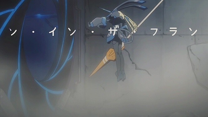Strelitzia reginae ทุกรูปแบบ “ฉันจะโจมตีในรูปแบบสุดท้ายของ Strelitzia reginae”