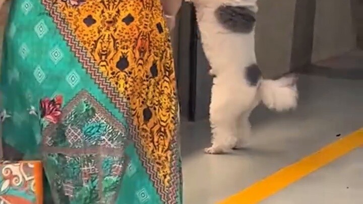 اشترى شخص حاسوبًا محمولًا عبر الإنترنت بسعر 399 يوان، وعلق أحد المتابعين: "حتى مجرد تشغيله أحرق كل ط