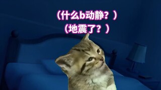 在东京生活的日常 | 猫meme