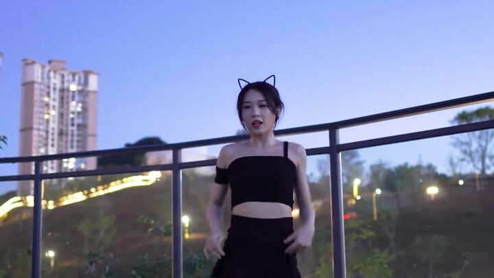 【Bobo Benbo】จอแนวตั้ง 4K เหมือนแมวเลย! เจ้าแมวเดินอย่างนิ่มนวลและน่ารัก เผยภาพเบื้องหลังตามคำขอของทุ