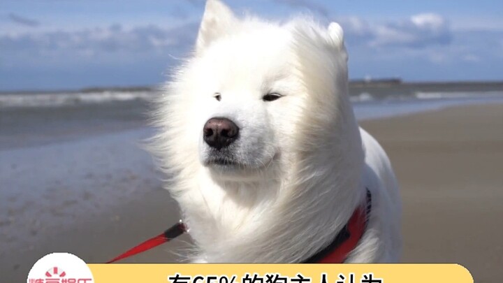 Quá yêu rồi cưng ơi~ Các thương hiệu cũng nên cân nhắc mà “cày” theo hướng này nhé!