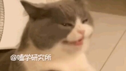 Berpakaian sangat hangat, kakak berikutnya bisa pakai sedikit lebih sedikit.