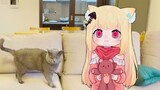 [Satwa] [Cat Person] Siaran langsung dengan anak kucing