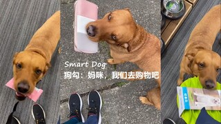 狗勾：妈咪，我们去购物吧