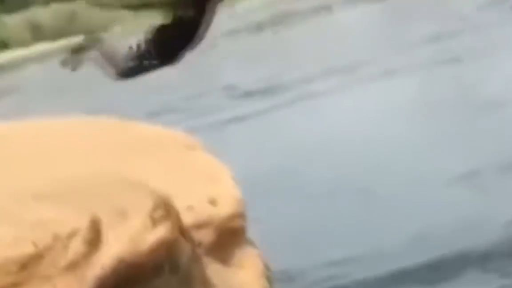 มนุษย์ชอบที่จะลองอะไรซีกอย่างที่แปลดๆ