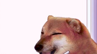 Bertengkar di waktu yang berbeda