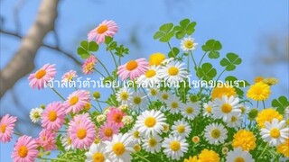 เจ้าสัตว์ตัวน้อย