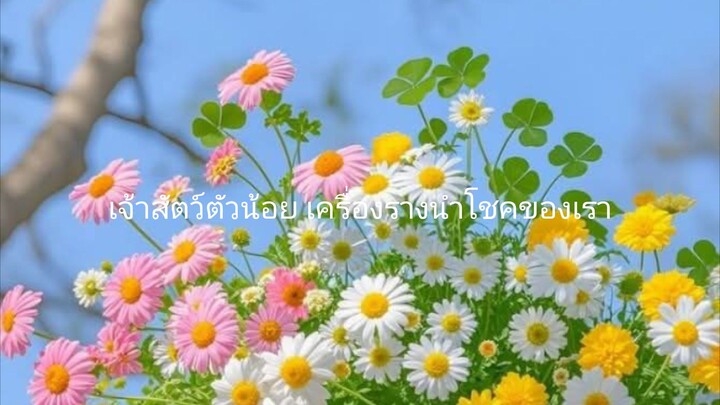เจ้าสัตว์ตัวน้อย