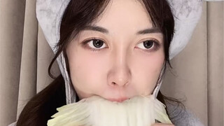 Siluman tikus dari utara