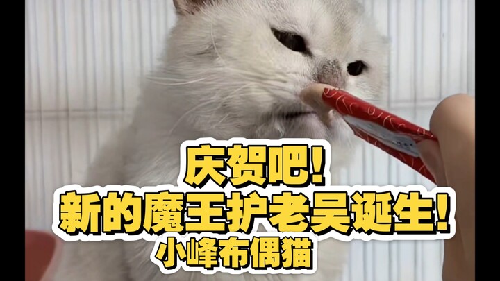Xiaofeng can’t believe his luck—SSR card, the Demon Lord, protects Old Wu! In their high-octane debu