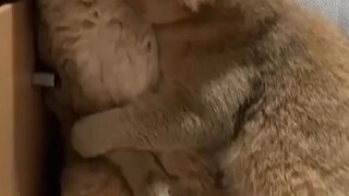 Some ABO Sensitive Period Literature