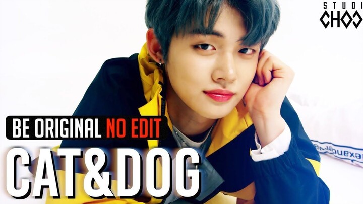 【คลังบันทึก TXT】190512 TXT 'Cat & Dog' (ไม่ตัดต่อ - 4K) l [BE ORIGINAL]