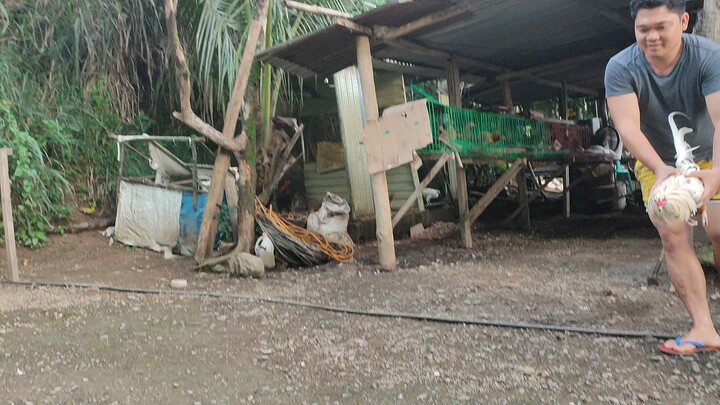 exercise muna "spar sa mga chikie"