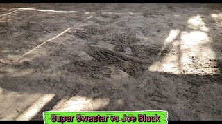 Super sweater vs Joe black Lateborn banded