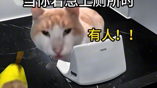 当你着急上厕所时···#猫meme #内容过于真实 #猫咪